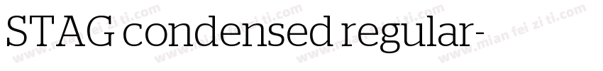 STAG condensed regular字体转换